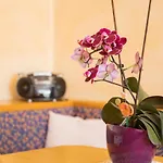 Апартаменты Wanger Нойкирхен-ам-Гросфенедигер