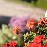 Апартаменты Wanger