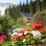 Wanger Апартаменты Нойкирхен-ам-Гросфенедигер