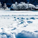 Wanger Апартаменты *