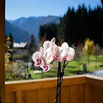 Wanger Апартаменты Нойкирхен-ам-Гросфенедигер