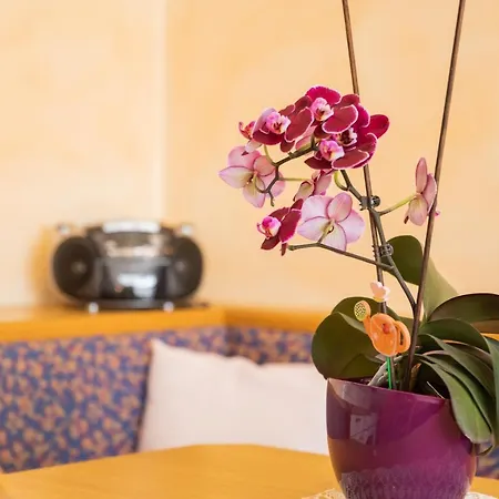 Apartment Wanger Neukirchen am Grossvenediger