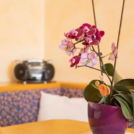 Lägenhet Wanger Neukirchen am Großvenediger