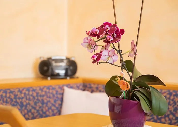 Апартаменты Wanger Нойкирхен-ам-Гросфенедигер