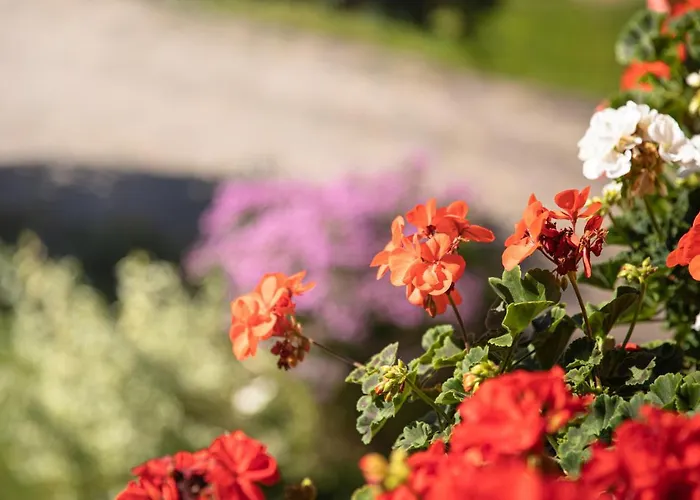 Апартаменты Wanger