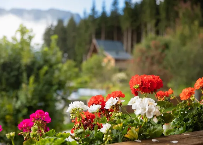 Wanger Апартаменты Нойкирхен-ам-Гросфенедигер