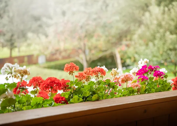 Апартаменты Wanger