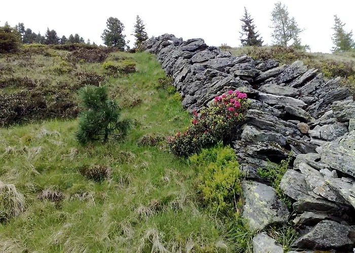 Wanger Апартаменты